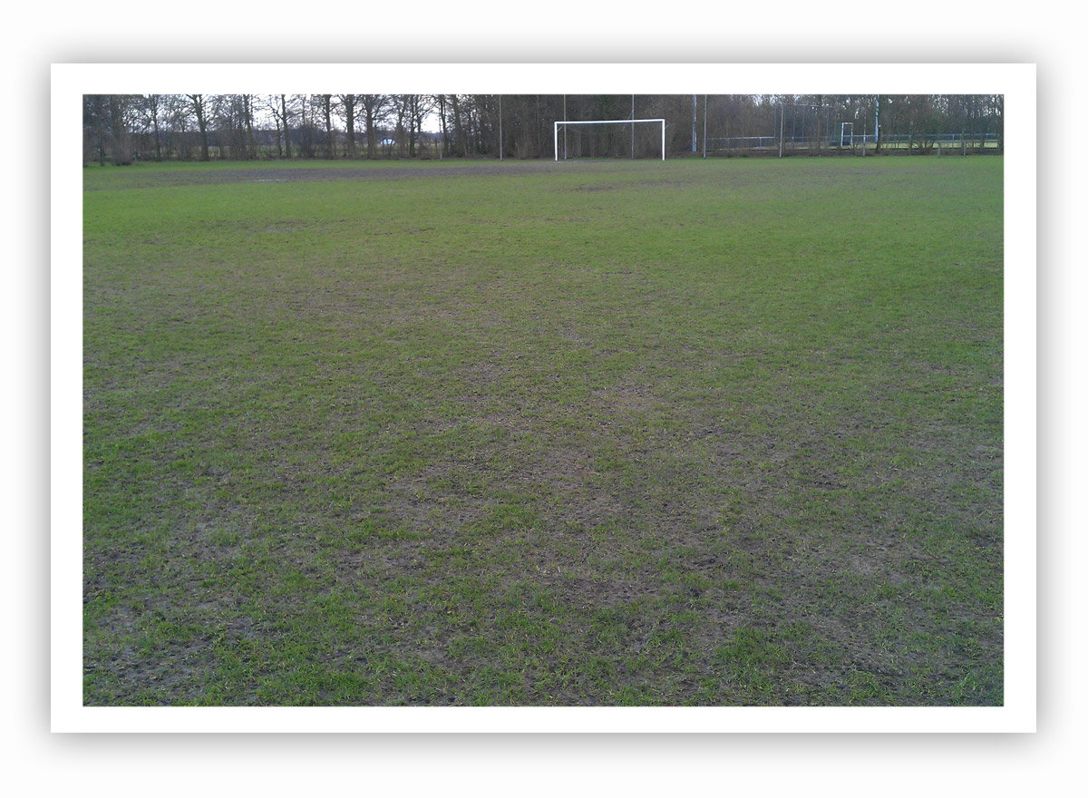 Schade_regen_grasveld (2).jpg